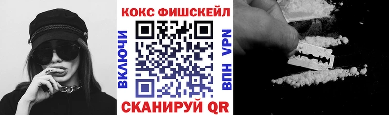 Кокаин Fish Scale  Купить  Рудня 