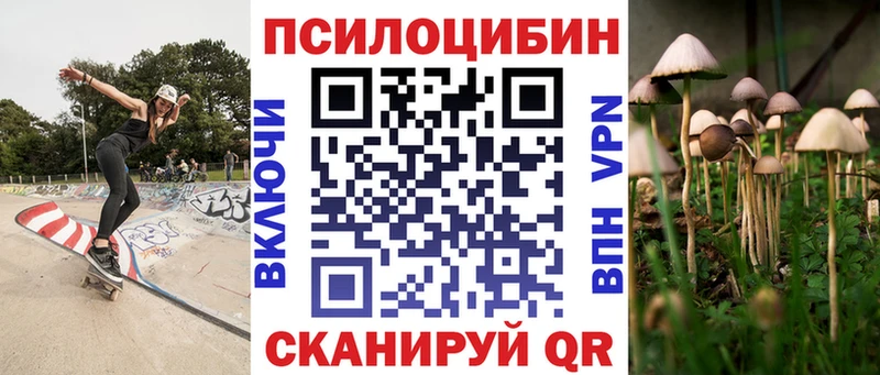 Купить закладки Рудня Псилоцибиновые грибы мухоморы
